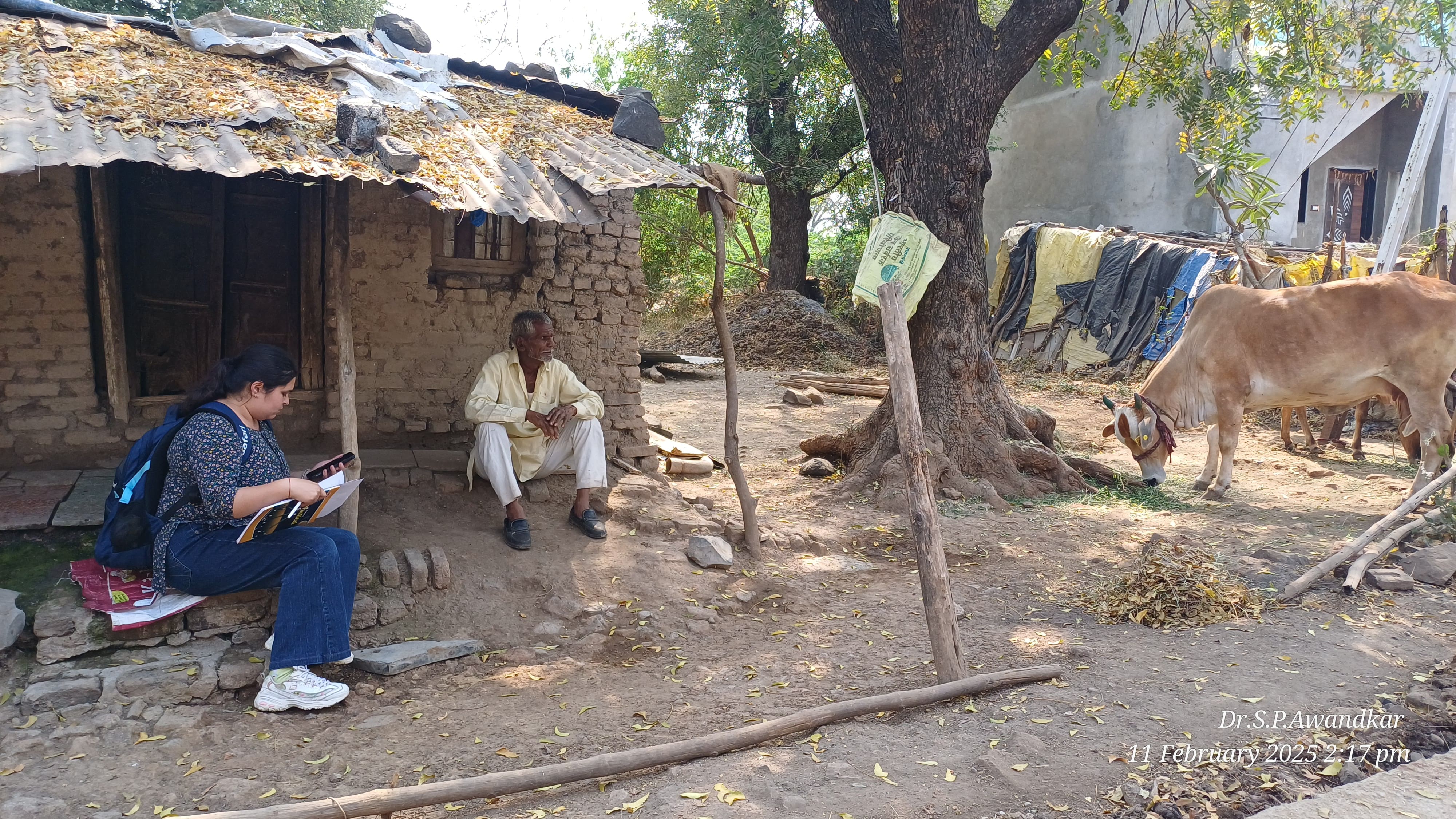 60. Survey Of Cattle Farmers For Antibiotic Use, Tuberculosis And Q Fever